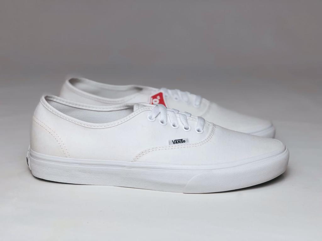 Vans clearance authentic fantasia